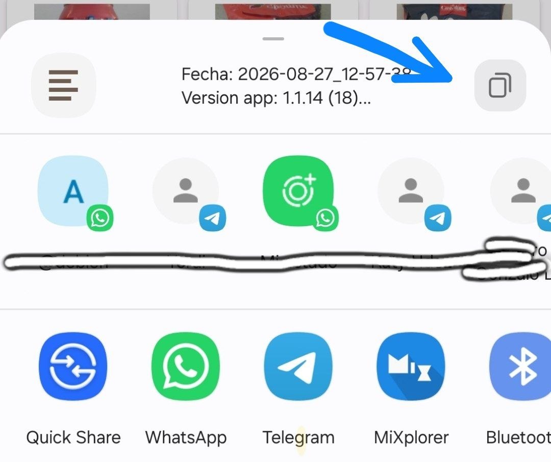 Pantalla con el reporte y botón Copiar